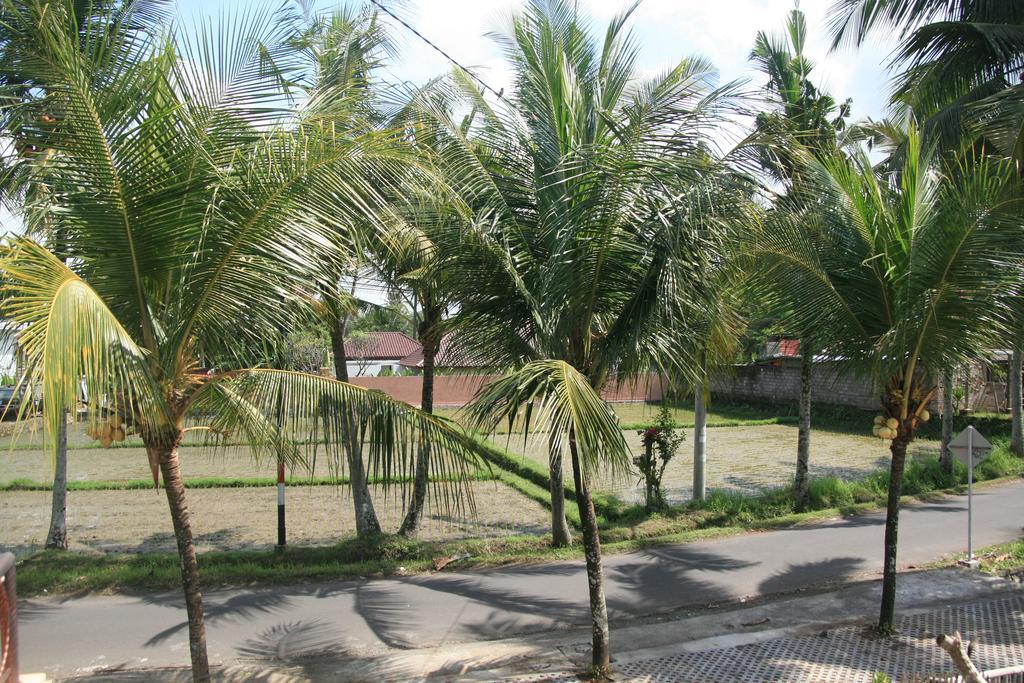 Gusti Rai House Otel Ubud Dış mekan fotoğraf