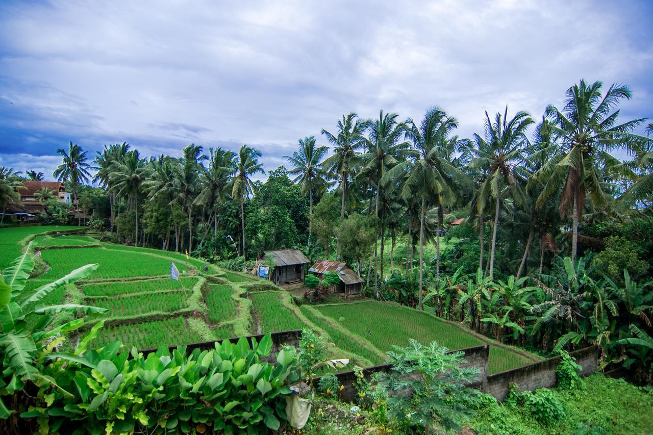 Gusti Rai House Otel Ubud Dış mekan fotoğraf